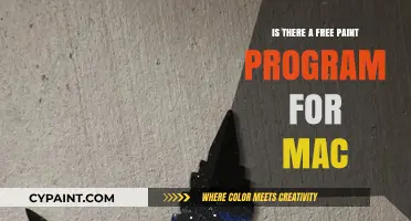 Discover the Best Free Paint Program for Mac Users