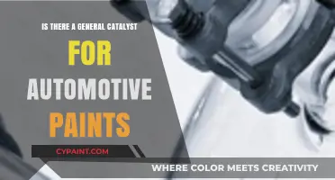 Exploring the Role of General Catalysts in Automotive Paint Technology