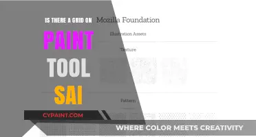 Does Paint Tool SAI Include a Grid Feature for Artists?