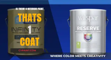 One-Coat Wonder: Discovering Interior Paints That Cover in a Single Layer