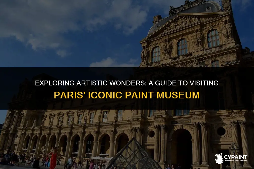 is there a line to go to paris paint museum
