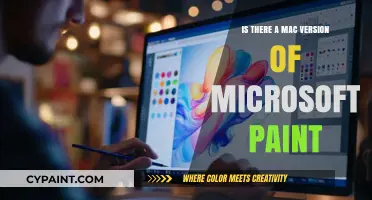 Does Microsoft Paint Have a Mac Alternative? Exploring Options
