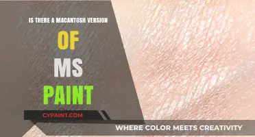 Mac Alternative to MS Paint: Does a Similar App Exist?