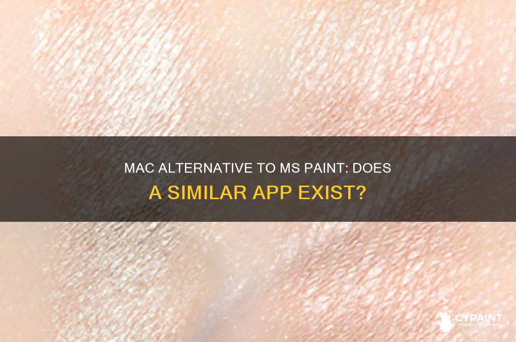 Mac Alternative To Ms Paint Does A Similar App Exist? CyPaint