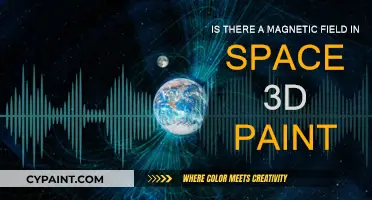 Magnetic Fields in Space: 3D Paint's Mystery