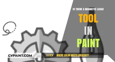 Discovering Paint's Magnetic Lasso Tool: Fact or Fiction?