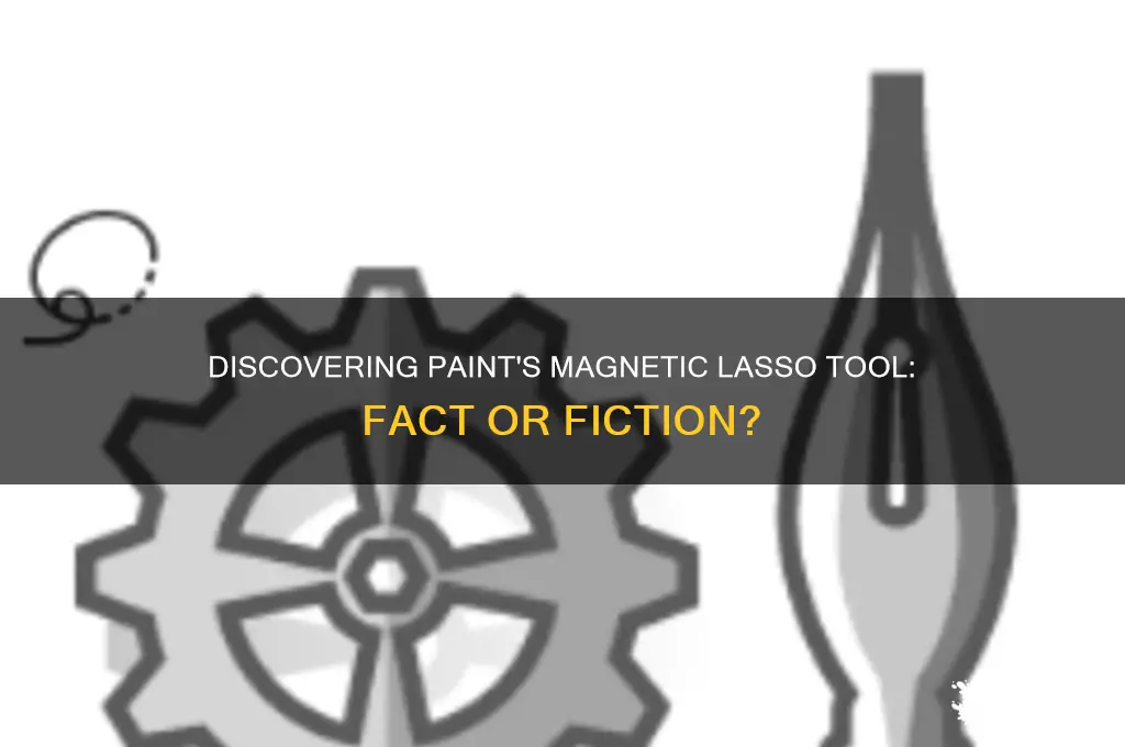 is there a magnetic lasso tool in paint