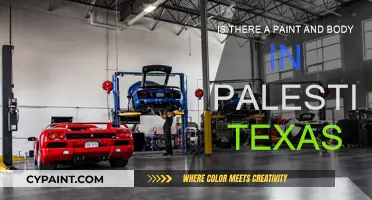 Best Paint and Body Shops in Palestine, Texas