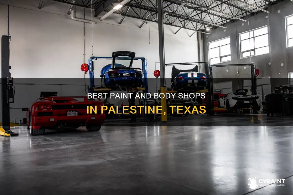 is there a paint and body in palestine texas