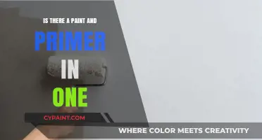 Paint and Primer in One: Myth or Time-Saving Solution?