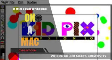 Discover the Best Paint Application Options for Your Mac
