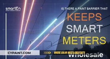 Smart Meter Shield: Paint-Based Protection?