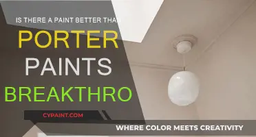 Breakthrough Paints: Porter's Competition?
