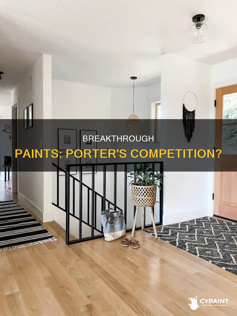 is there a paint better than porter paints breakthrough