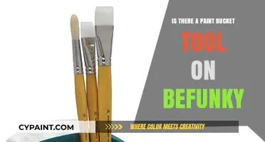 Discover Befunky's Paint Bucket Tool: A Step-by-Step Guide for Beginners