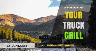 Customizing Your Truck Grill: Paint Options and Durability Tips