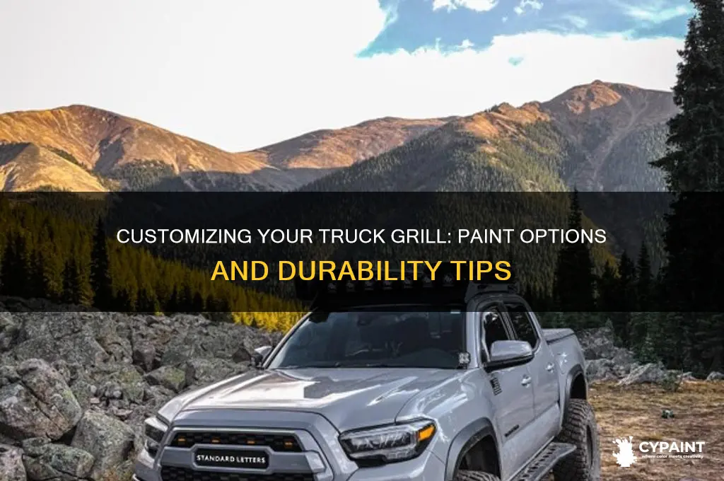is there a paint for your truck grill
