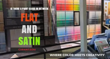 Exploring Paint Finishes: The Elusive Gloss Between Flat and Satin