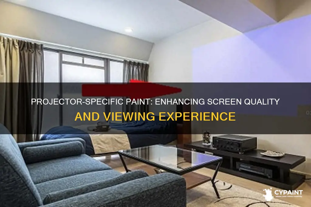 is there a paint made specifically for projectors
