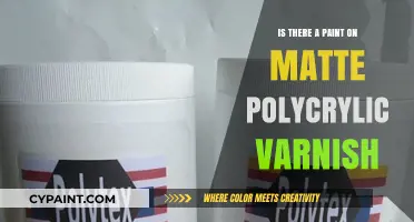 Paint-On Matte Polycrylic Varnish: A Comprehensive Guide to Achieving a Smooth Finish