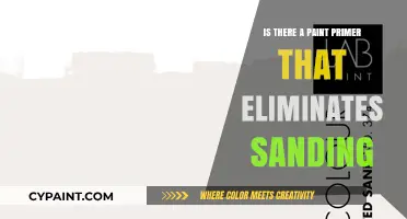 Skip the Sanding: Discover Primer Options for Smooth Paint Prep