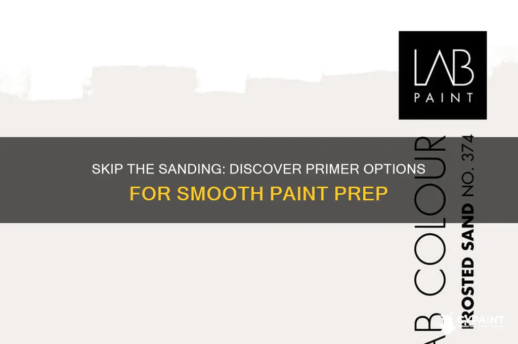is there a paint primer that eliminates sanding