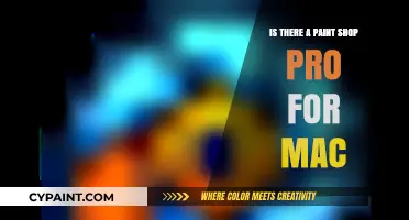 PaintShop Pro for Mac: Alternatives and Compatibility Explained