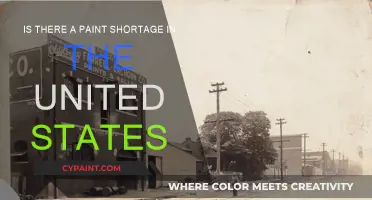Paint Shortage: US Supply Crisis Explained
