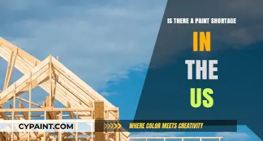 US Paint Shortage: Causes, Impact, and Solutions for Consumers