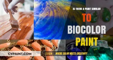 Eco-Friendly Alternatives: Discover Paints Similar to Biocolor for Your Projects