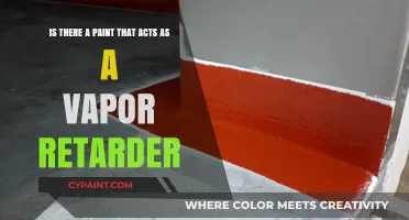 Exploring Paints That Double as Vapor Retarders: A Comprehensive Guide