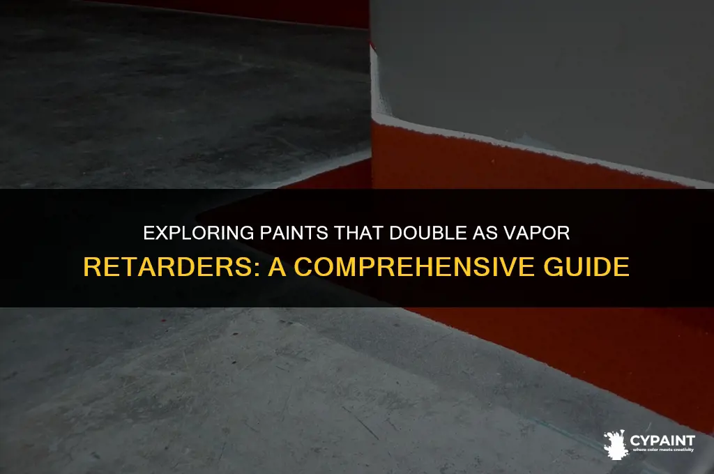 is there a paint that acts as a vapor retarder