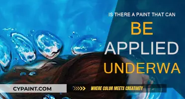 Underwater Painting: Is Special Paint Required?