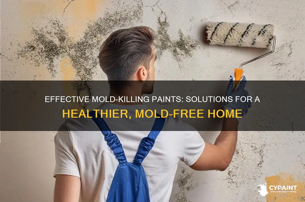 is there a paint that can kill mold