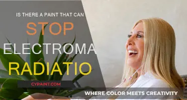 Blocking Electromagnetic Radiation: The Power of Special Paint