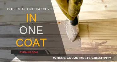 The Best One-Coat Paint for Your Home