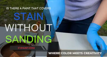 Best Paints for Covering Stains: No Sanding Required!