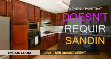 The Best No-Sand Paints for Your Next Project