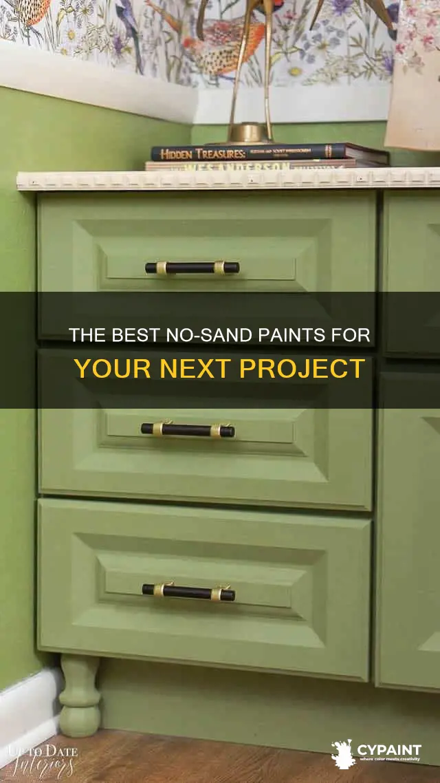 is there a paint that doesn