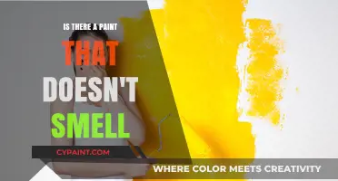 Odor-Free Painting: Discovering Smell-Less Paint Options for Your Home