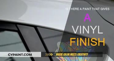 Explore the Paint for a Vinyl Finish
