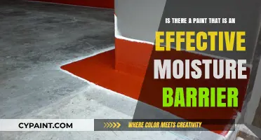 Exploring Paints That Double as Effective Moisture Barriers
