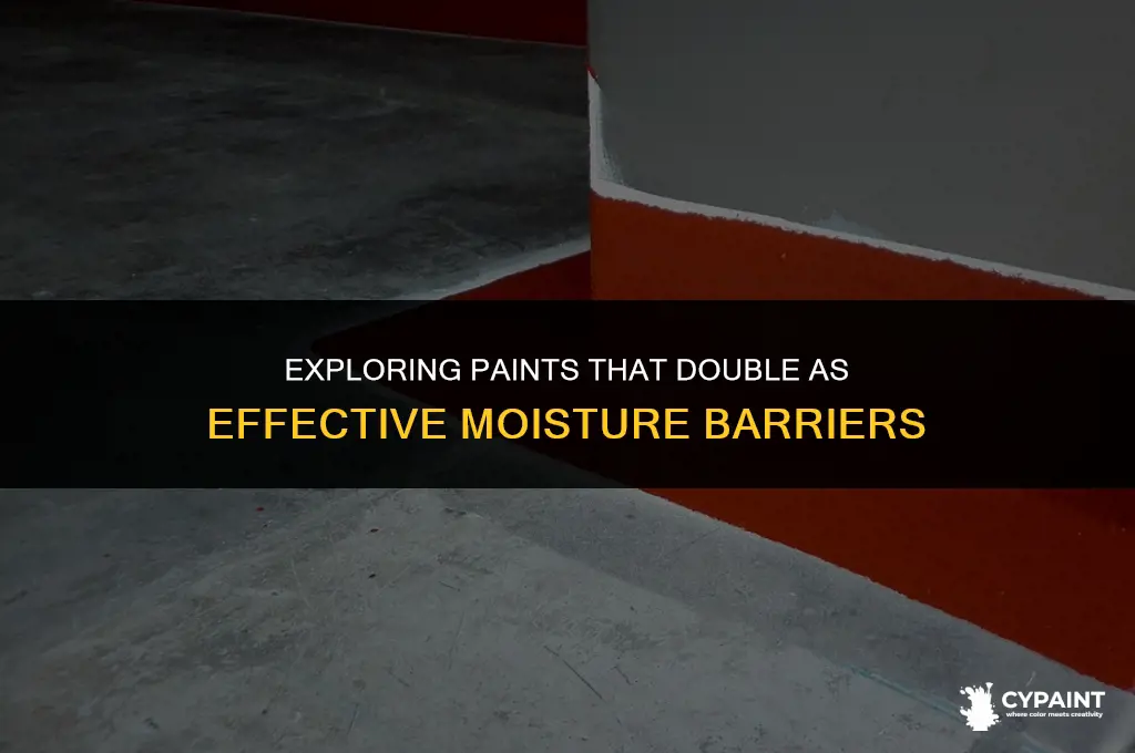 is there a paint that is an effective moisture barrier