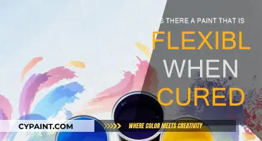 Flexible Paints: Bend, Don't Break