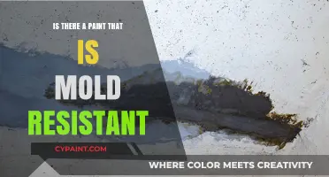 Discover Mold-Resistant Paint: Protect Your Walls and Health Effectively