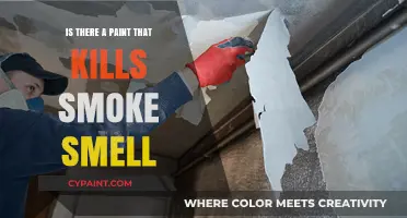 Eliminate Smoke Odors: Discover Paint That Kills Stubborn Smells Fast