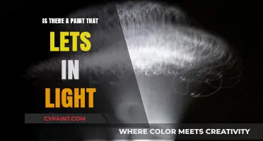 Light-Transmitting Paint: Illuminating Surfaces with Translucent Coatings
