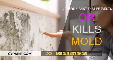 Mold-Resistant Paint: An Effective Solution?
