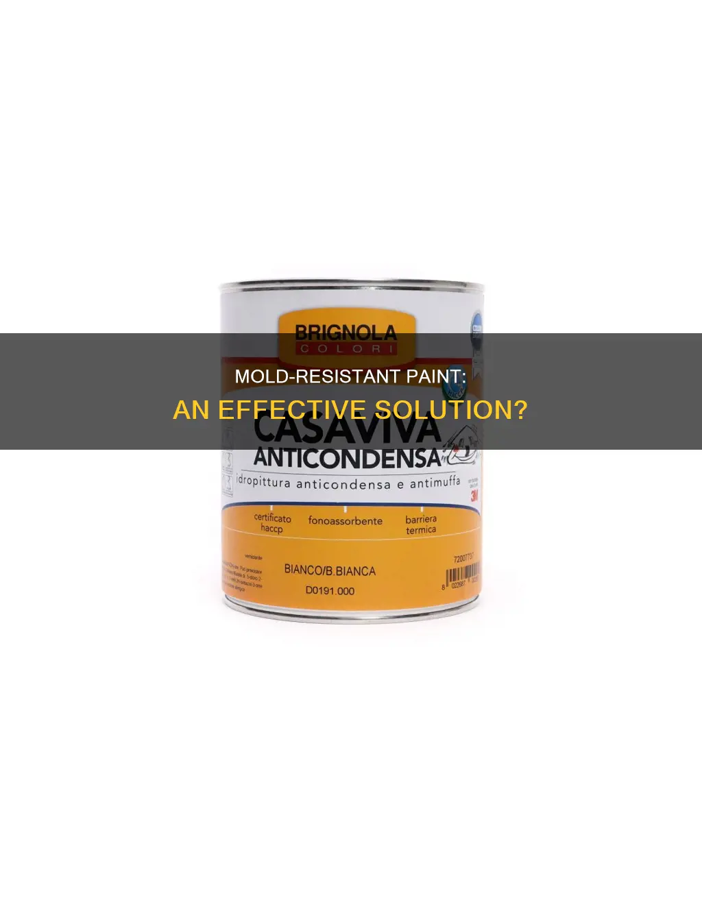 is there a paint that prevents or kills mold