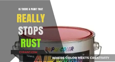 Rust-Proof Paint: Unveiling the Truth About Anti-Rust Coatings
